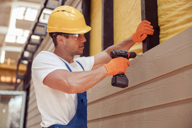 Best Wood Siding Installation  in Ddleville, MI